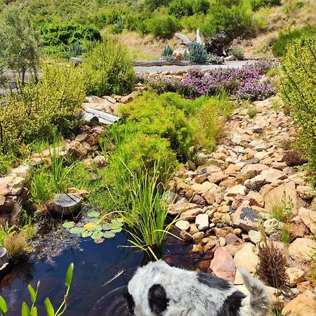 Appartamento Roodekloof Montagu Esterno foto