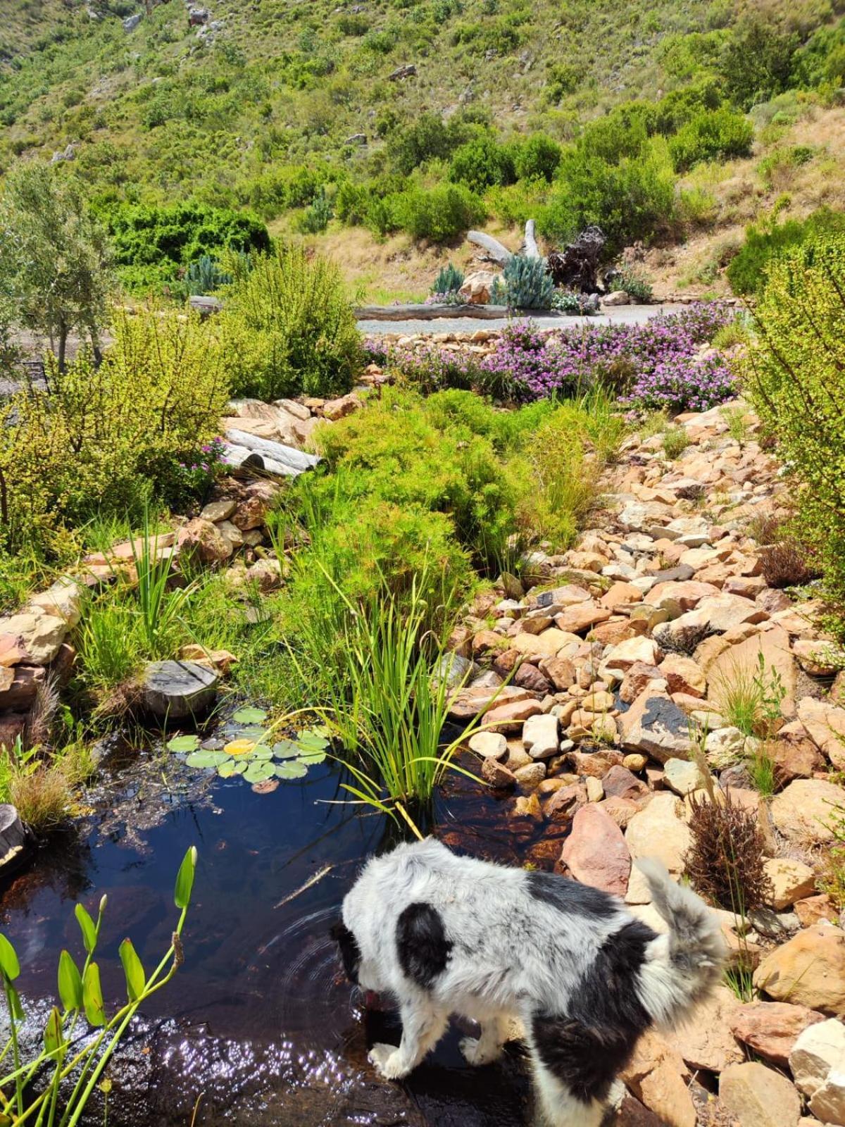Appartamento Roodekloof Montagu Esterno foto