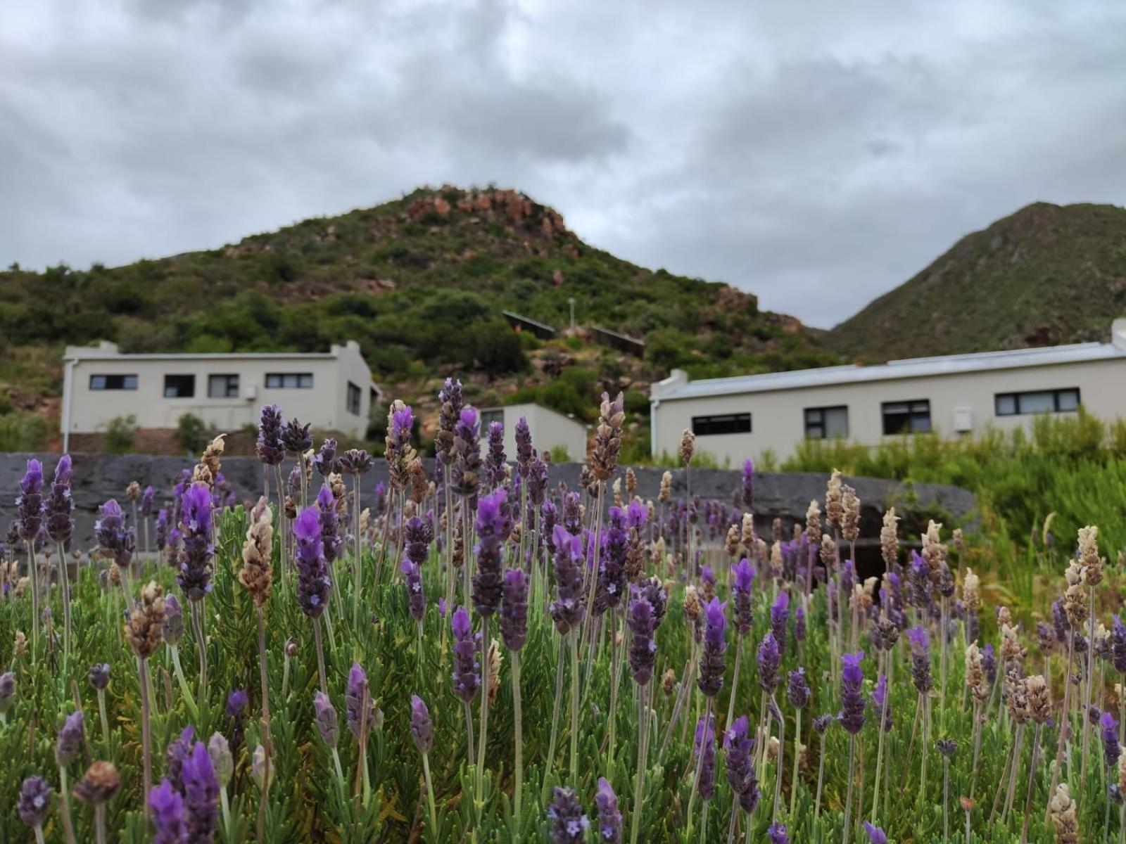 Appartamento Roodekloof Montagu Esterno foto