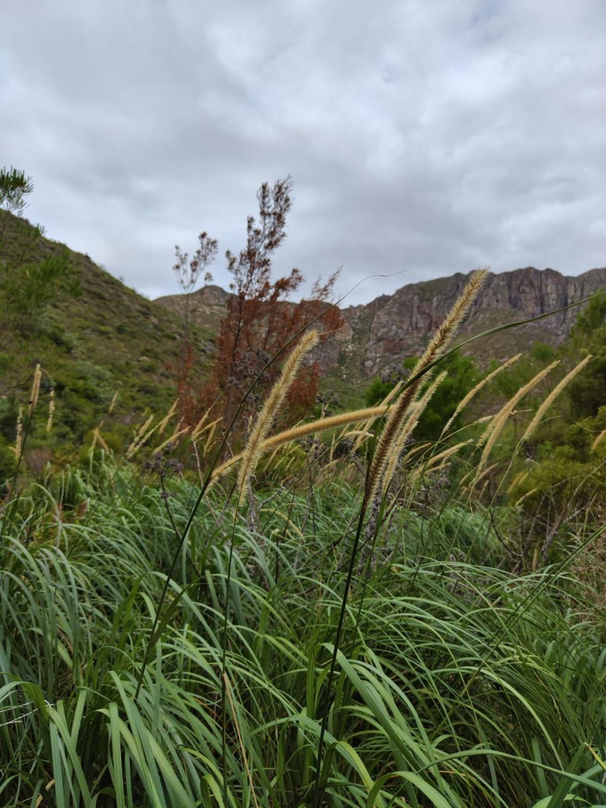 Appartamento Roodekloof Montagu Esterno foto