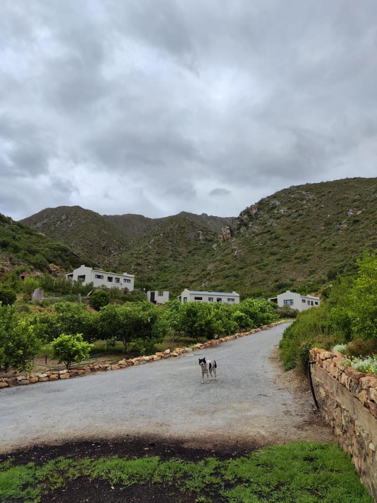 Appartamento Roodekloof Montagu Esterno foto
